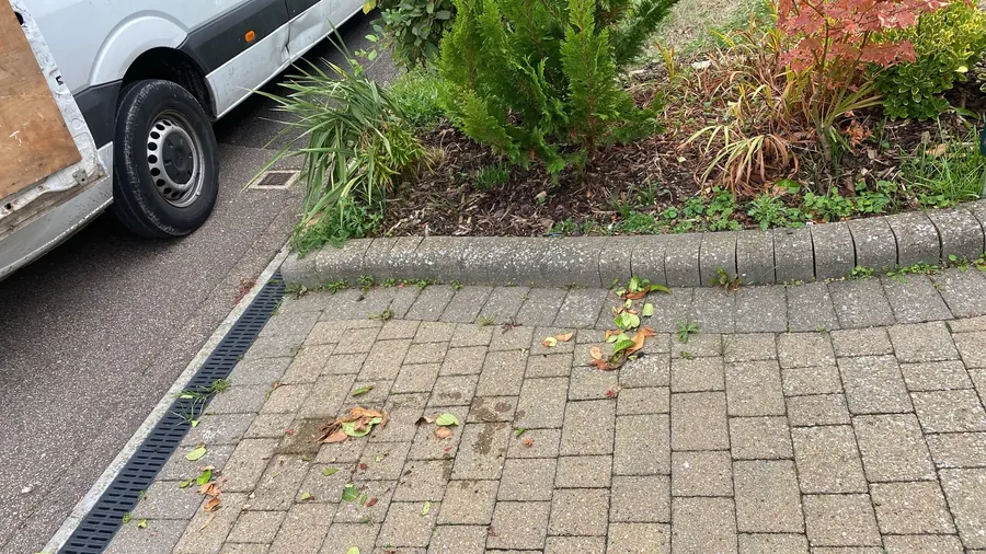 After: the same driveway cleared by WasteMove