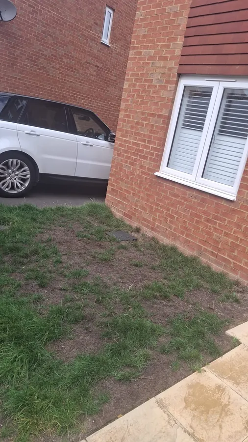 After: the same lawn cleared by WasteMove